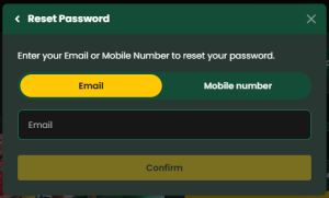 Mega Casino reset password